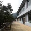 비슬리조트 이미지