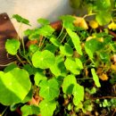 담양민박 이미지