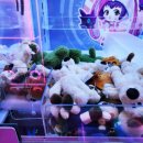 스타짱오락실 이미지