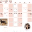 들마2 네이버블로그