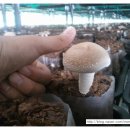 한길농부 농장 이미지