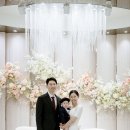 세실리 | 부산 서면 더파티 돌스냅 돌잔치스냅 내돈내산 세실리스냅