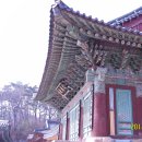 동화사 Daum카페