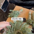 힐링 인센스스틱 만들기 이미지