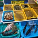 영환이네활어 네이버블로그