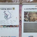 와인터널 | [청도 여행] 청도 와인터널 다녀온 후기. 입장료(현재무료), 운영시간, 포토존