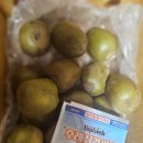 헬씨플레져 | [제주 레.드.키.위.] 헬씨 플레저! 제철 맞은 프리미엄 레드키위 맛보다! 🥝❤️