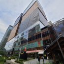 청진동뷔페 | 광화문 회식장소 야마야 디타워 인생 모츠나베 맛집