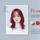 스칼렛헤어 - 전주시 완산구 범안1길 5 | 스칼렛헤어