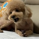 성서축산물