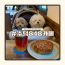 848 | 충남 예산 가볼만한곳 수덕사 근처 카페 수덕848카페 후기