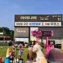 무프스 유치원 네이버블로그