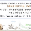 09년 10월부터 전국 유기견 관련 실종및 보호 공지 사이트가 http://www.animal.go.kr/ 로 통합운영됩니다. 이미지