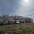 한우목장 이미지