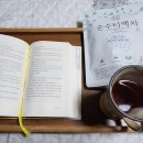 카모마일차 이미지