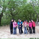 약초마을 이미지