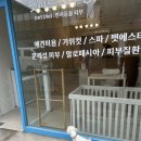 펫피르그루밍 이미지
