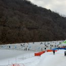 2025영양꽁꽁겨울축제 다녀온 후기 (주차,놀거리,먹거리)