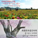 이형로의 고사성어로 보는 세상](135) 만화방창(萬化方暢) 흥진비래(興盡悲來) 일수백확(一樹百穫) 이미지