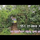 왓츠인마이가든 What's in my garden [네번째 정원이야기] 나만의 아지트 로망이 있나요? 자연 속 우리가족만의 힐링공간정원 이미지