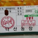 돈다산농장 네이버블로그