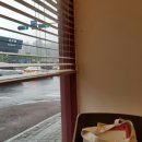 파페모에 이미지