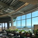 코우코알라 이미지