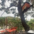 한경공인중개사사무소 이미지