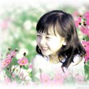 그라디언트 이미지