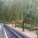 파트너 노래연습장 이미지