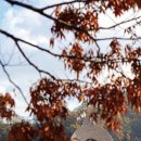 남가람 문화거리 이미지