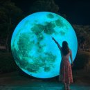 소노문 단양 별관 | 단양 여행 : 단양 소노문 WEST 스위트 레이크뷰 후기/EAST 패밀리 레이크뷰 비교