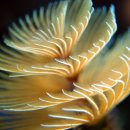 지구자원 이미지