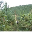 동국대부속유치원 이미지