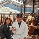 박현목장 이미지