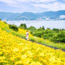 꽃동산 Daum카페