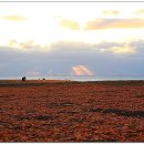 신천목장 이미지