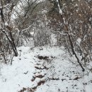 어바굴산(131m). 금토산(197m). 서둘산(221m). 머금이산(247m). 서돌산(331m)/경기 성남 이미지