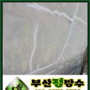 모라명성약국 이미지