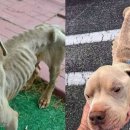 기다리다 이미지