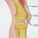 연화하가 네이버블로그