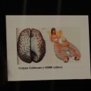 카이스트 아카데미 이미지