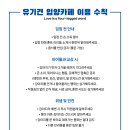 카페훈트 이미지