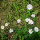 파주스타디움 이미지