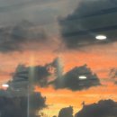 꽃과난 | [안양점집] 소문난19세꽃도령｜인생신점사주 솔직 후기