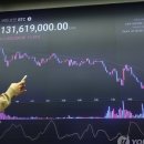 스테이블14 이미지