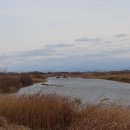 은파호수공원 이미지