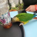 힐링(카페) 코스 이미지