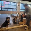 이재룡의 뭉개뭉개 유치원 이미지