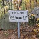바우촌 - 광진구 영화사로 12 | 바우촌